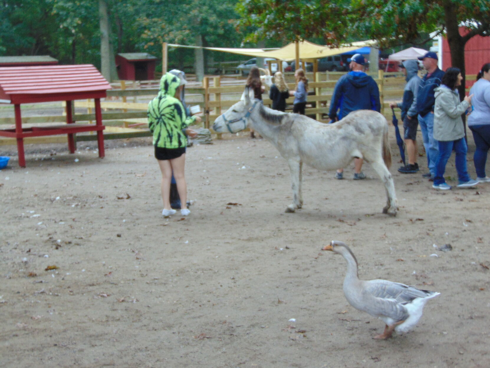 Farm gallery 3.JPG